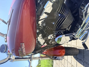 Harley Davidson Sportster XL1200 Bild 6