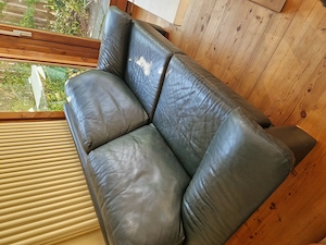 Dunkelgrünes Ledersofa