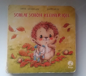 Schlaf schön, kleiner Igel