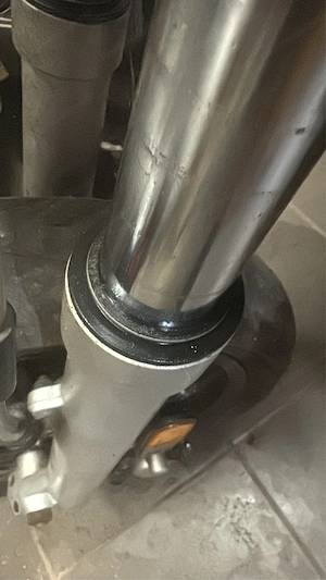 Moped 50ccm Bild 3