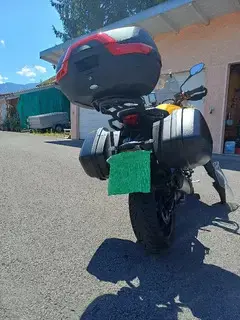 Triumpf Tiger Sport 800 Bild 8