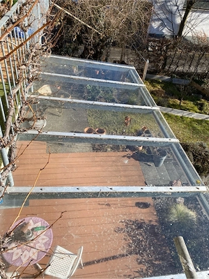 Glasdach mit Deckenmontage 3,88 m lang Bild 2