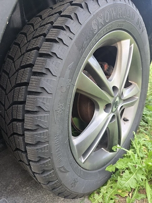 ssangyong  Bild 5
