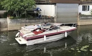 Motorboot für Bastler und handwerklich begabte Liebhaber (Sea Ray Boats) - BJ 1987 Bild 2