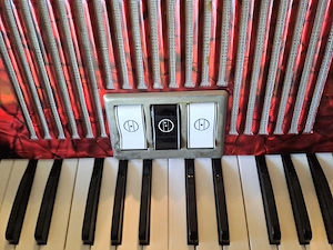 Akkorden Hohner Student VM mit Original Koffer  Bild 3