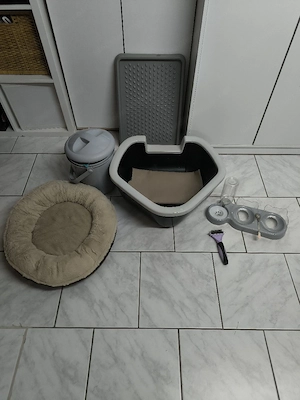 Katzen Starterset Bild 5