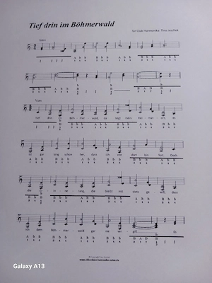 Hohner Club Akkordeon - Steirische Harmonika Bild 4