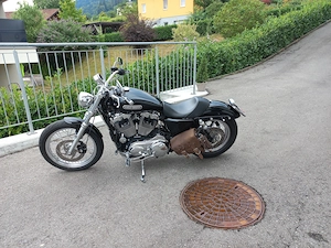 Harley Sportster XL 1200 Bild 3