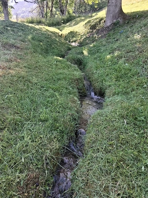 landwirtschaftliches Grundstück in Nenzing