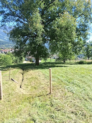 landwirtschaftliches Grundstück in Nenzing Bild 2