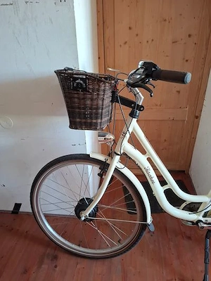 E-Bike-neu Bild 3