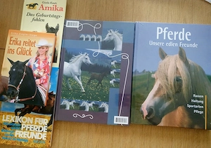 Kleine Pferde Sammlung: Playmobil Reiterhof, Bücher, Puzzle, Sticker und mehr Bild 3
