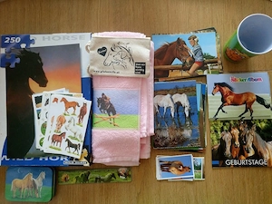 Kleine Pferde Sammlung: Playmobil Reiterhof, Bücher, Puzzle, Sticker und mehr Bild 4