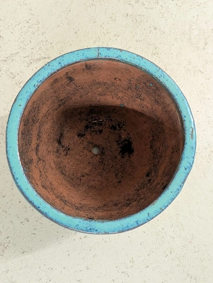 wunderschöner Terracotta Pflanzentopf Bild 3