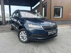 Skoda Karoq Bild 3