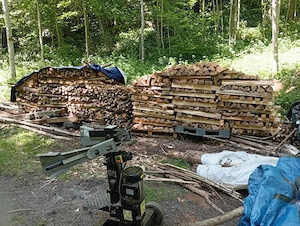 Brennholz hart zu verkaufen Bild 3