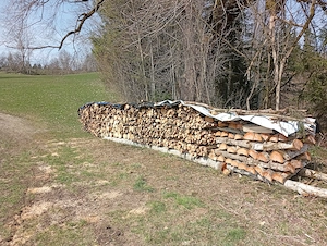 Brennholz hart zu verkaufen Bild 7