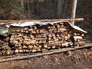 Brennholz hart zu verkaufen Bild 6