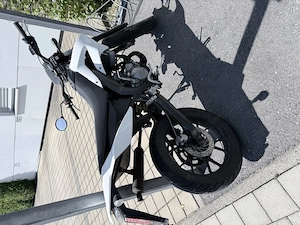 Derby Senada DRD X  Treme, 50 cm , EZ: 17. August 2017 Bild 2