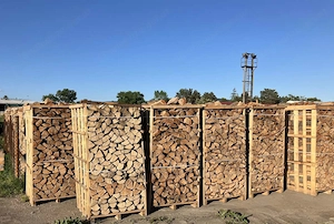 Lieferung Brennholz 70  pro Rm Verkaufen Ab 5 Rm nur 400  Bild 2