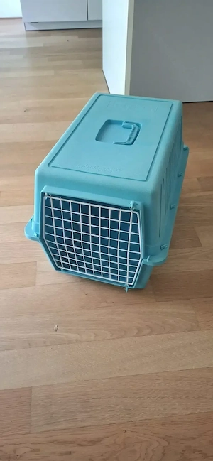 Katzenbox türkis
