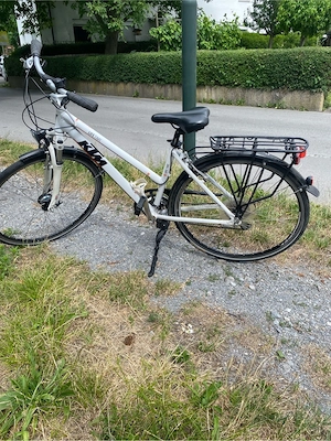 damen fahrrad Bild 2