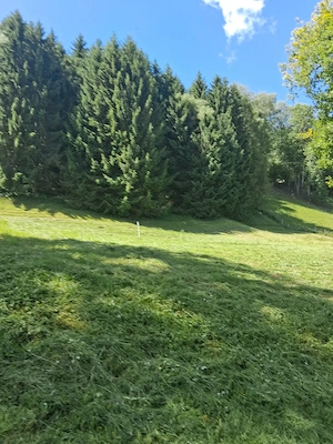 OFFERTVERKAUF:  landwirtschaftliches Grundstück  Bild 3