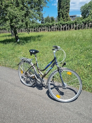 Fahrrad GIANT Avant Bild 4