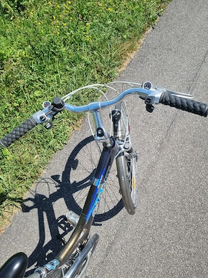 Fahrrad GIANT Avant Bild 3