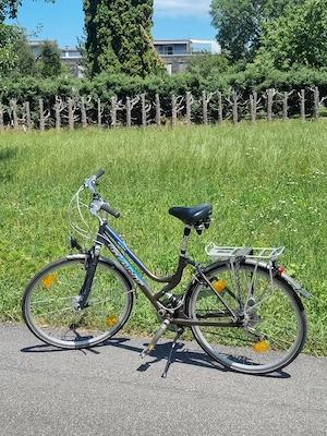 Fahrrad GIANT Avant Bild 5