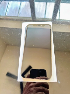 iPhone 12 Pro 256 GB Bild 3