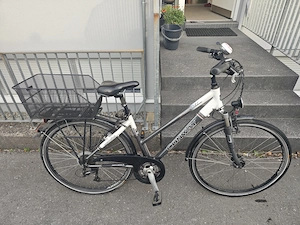 Conay Trekking Damenfahrrad Bild 2