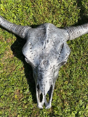 Longhorn Schädel Deko Bild 2