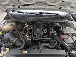 Ford Ranger Wildtrak Bild 2