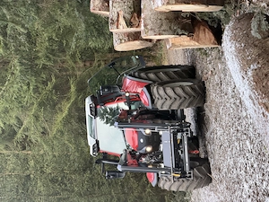 Durchforstung & Waldpflege   Holzbringung mit Seilwinde Bild 2