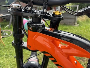 Downhill Bike Mondraker summum Bild 5