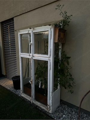 Tomatenhaus Bild 2