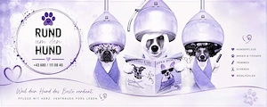 Hundesalon - Rund um den Hund -   ihr Hundefrisör Bild 8