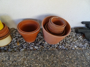 Verschiedene garten Töpfe zu verschenken Bild 2