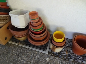Verschiedene garten Töpfe zu verschenken Bild 3