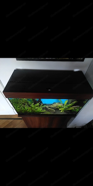 Aquarium, voll ausgestattet, inkl. Zubehör  Bild 4