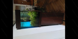 Aquarium, voll ausgestattet, inkl. Zubehör  Bild 2