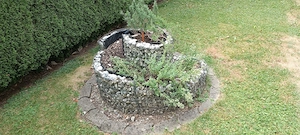 Kräuterschnecke Bild 4