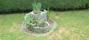 Kräuterschnecke Bild 2