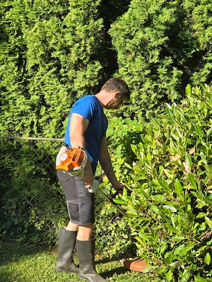Hausbetreuung, Gartenpflege, Reinigung & Winterdienst Bild 2