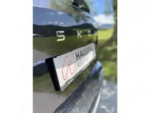 Skoda Karoq Bild 11
