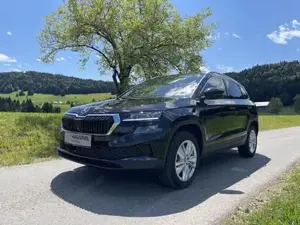 Skoda Karoq Bild 8