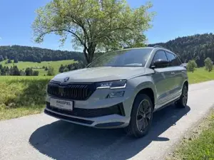 Skoda Karoq Bild 6