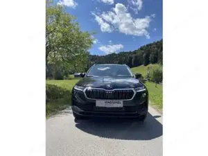 Skoda Karoq Bild 9