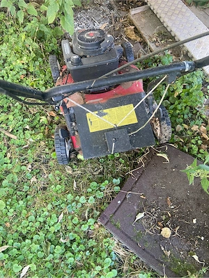 Rasenmäher Bild 2